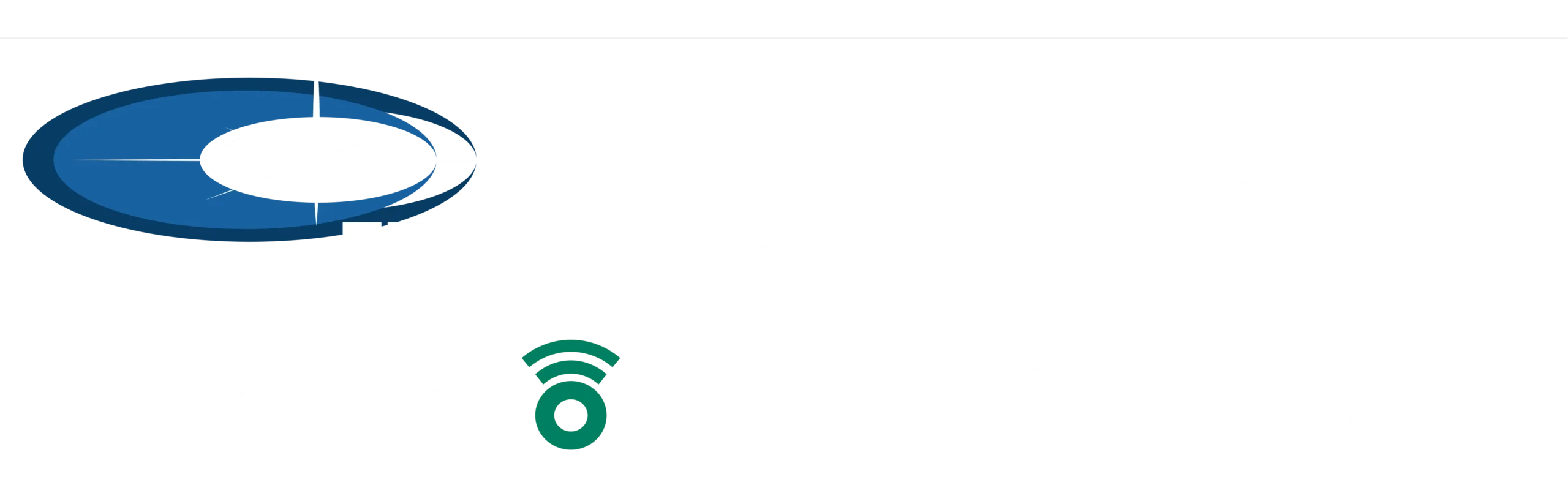 Footer Logo